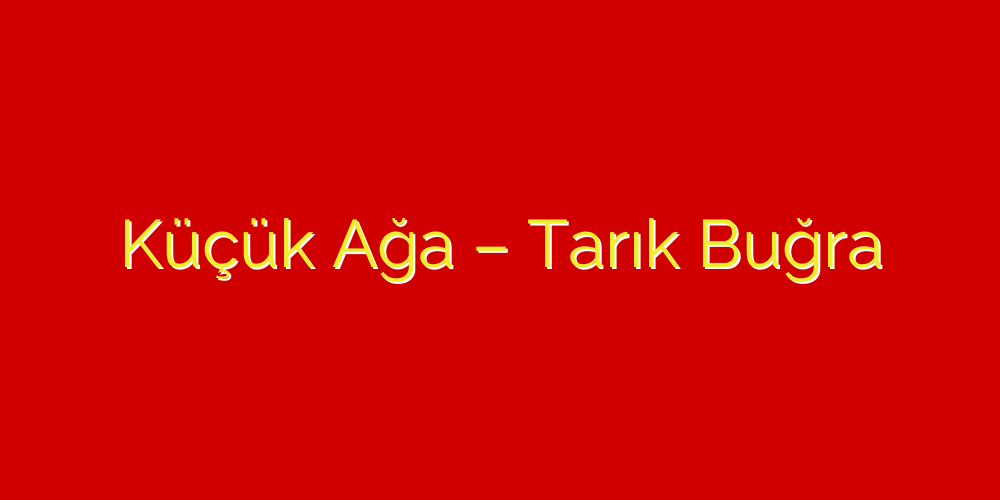 Tarık Buğra Küçük Ağa Kitabının Özeti