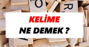 Kelime Nedir