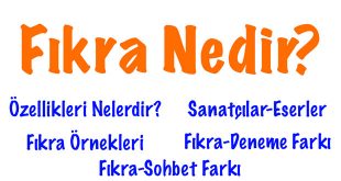 Fıkra Nedir